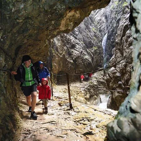 Hotel Romantik Alpenhotel Waxenstein 4*